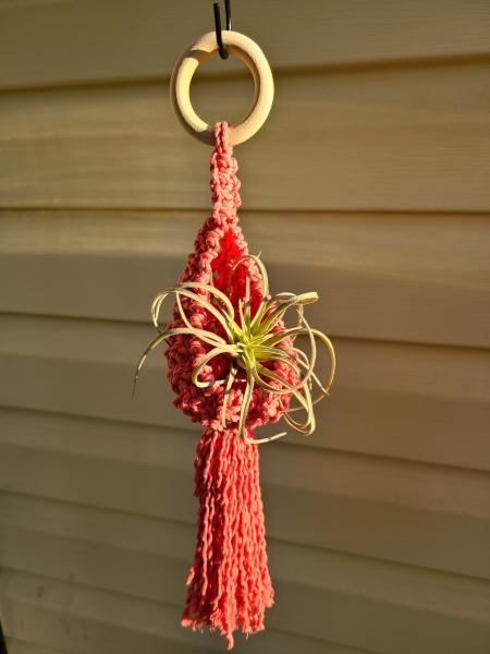 Macrame air plant pod picture