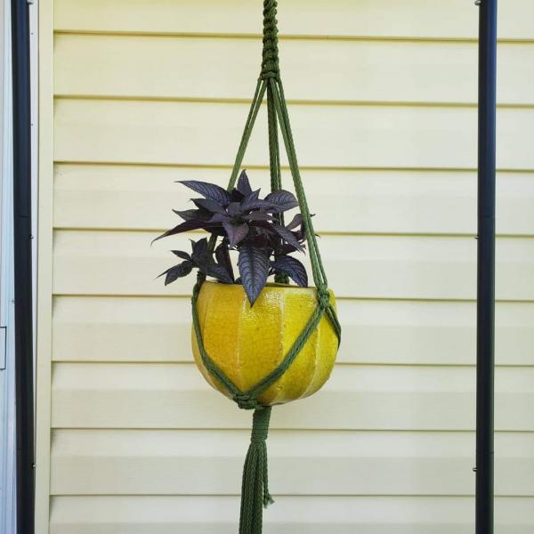 Macrame plant hangers picture