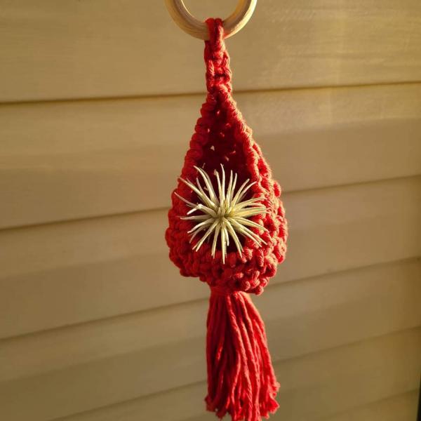 Macrame air plant pod picture