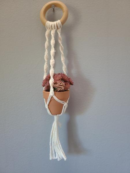 Mini macrame plant hangers picture