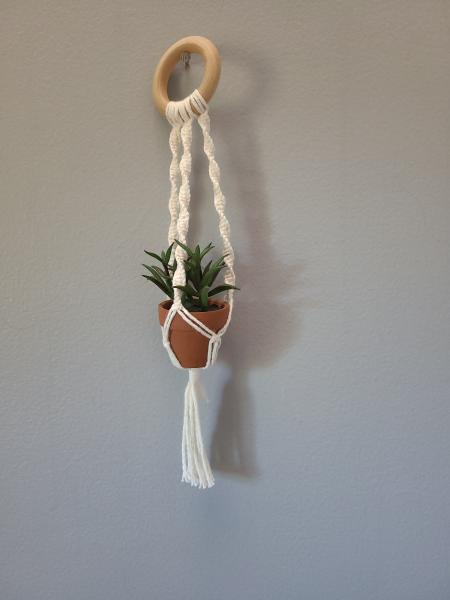 Mini macrame plant hangers picture