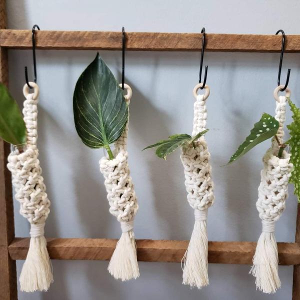 Macrame plant propagation station picture