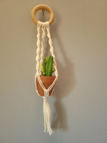 Mini macrame plant hangers picture