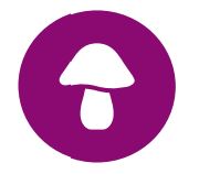 Shroomworks