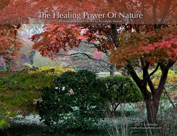 2021 The Healing Power of Nature Calendar picture