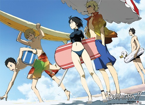 Durarara!! Group at the Beach Wall Scroll Poster picture