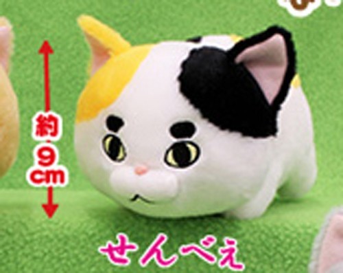 Bucha Neko-san 5'' Calico Amuse Prize Plush