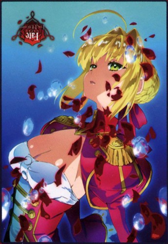 Fate Extra Saber Microfiber Prize Throw Blanket picture