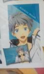 Free! - Iwatobi Swim Club Nitori Pillow Case Vol. 2