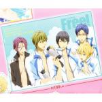 Free! - Iwatobi Swim Club Line Up Microfiber Blanket