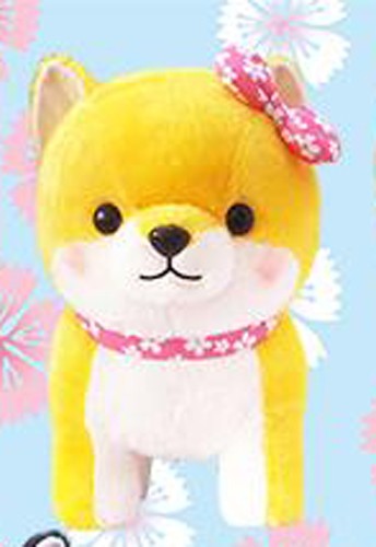 Mameshiba Sankyodai 10'' Blond and White Shiba Inu Dog Plush picture