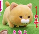 Bucha Neko-san 5'' Tan Amuse Prize Plush