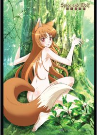 Spice and Wolf Holo in the Forest Wall Scroll picture