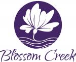 Blossom Creek Elderberry Syrup