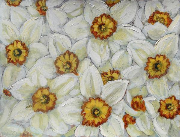 "Daffodils" picture