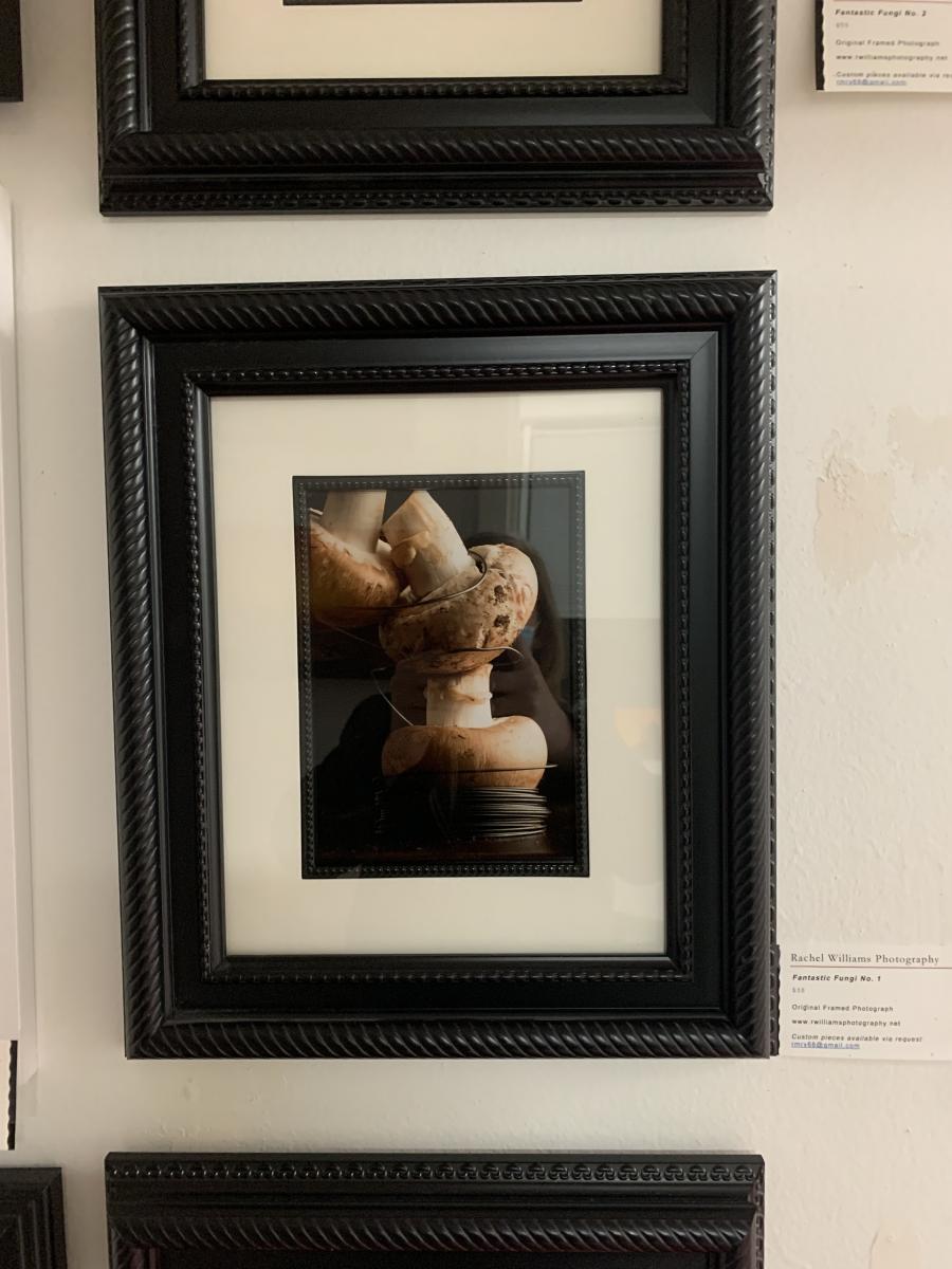 Mushrooms- Set of 3 picture