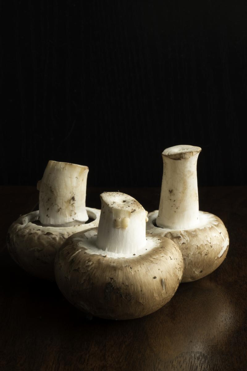 Mushrooms- Set of 3 picture