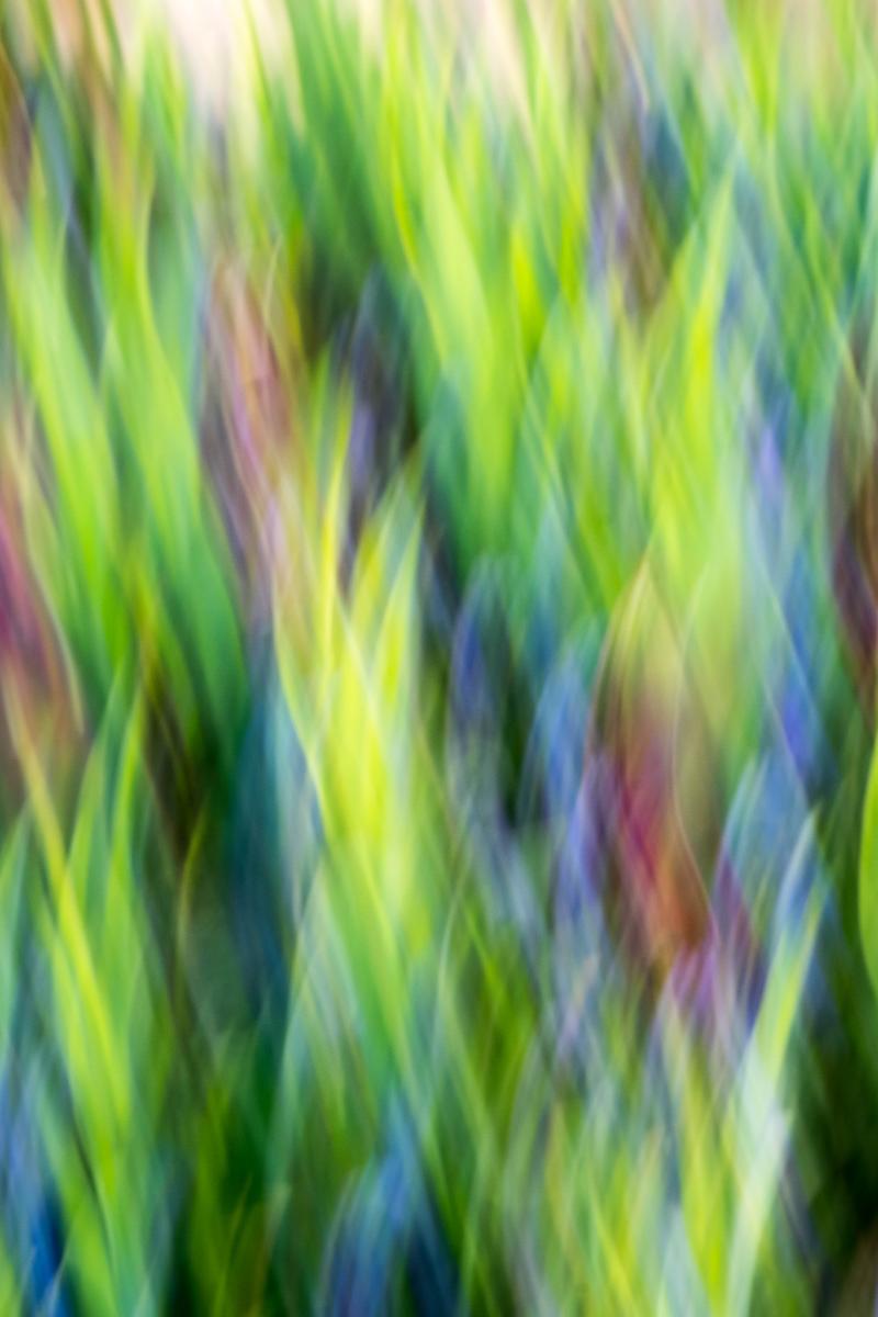 Prints- Various, Unframed, matted 8x 10" prints matted to 11x14" picture