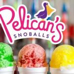 Pelican’s SnoBalls
