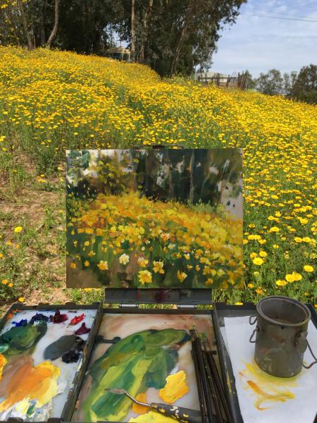 Lake Hodges Superbloom Oil Painting picture