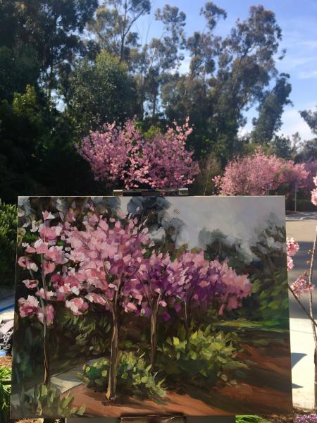 Balboa Park Cherry Blossoms Oil Painting picture