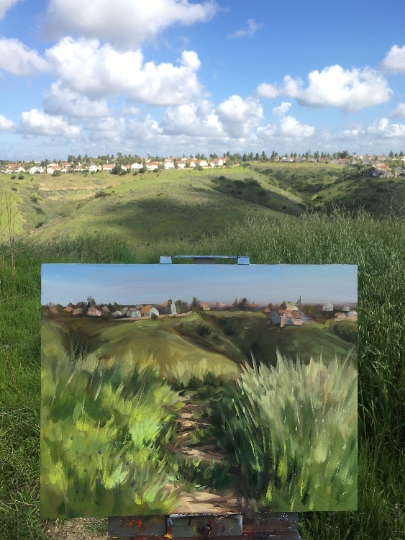 Sorrento Valley Trail Oil Painting picture