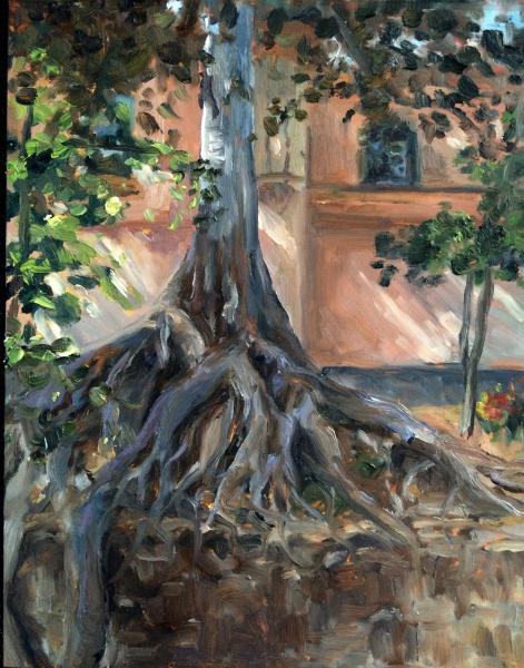 Balboa Park Fig Tree Oil Painting