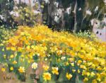 Lake Hodges Superbloom Oil Painting