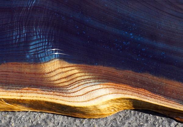 "The Cobalt Coast " Live edge art piece picture