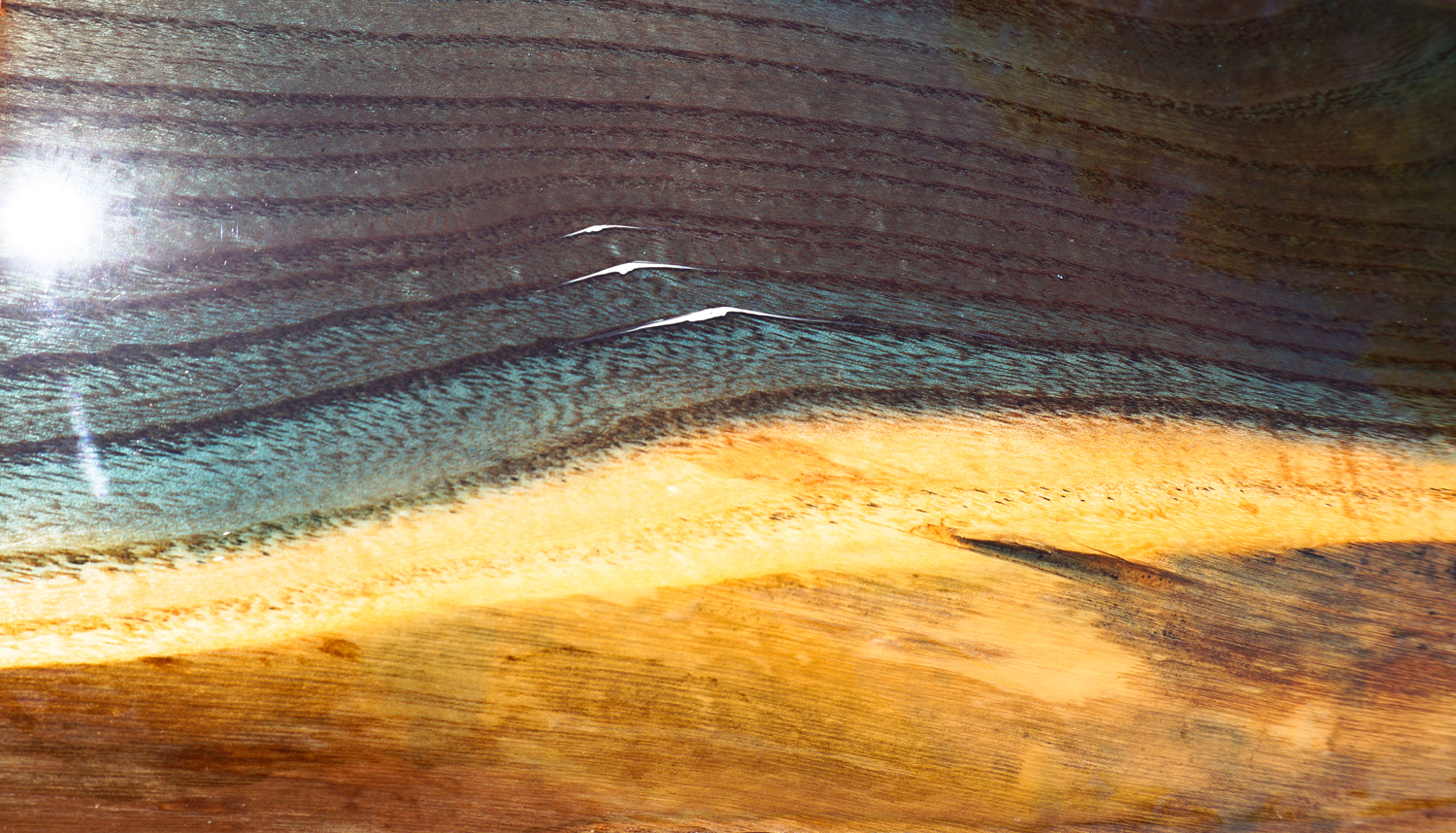 "Playa colorado" Live edge art piece picture