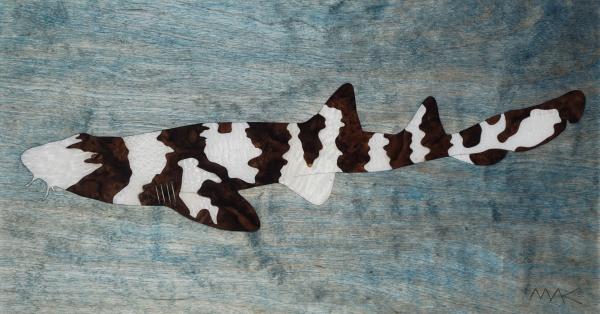 Brown Banded Bamboo Shark (7 of 10) picture