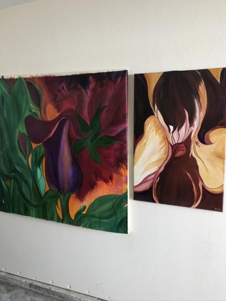 Lily picture