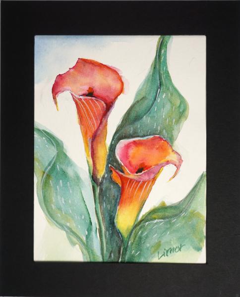 Calla Lily picture