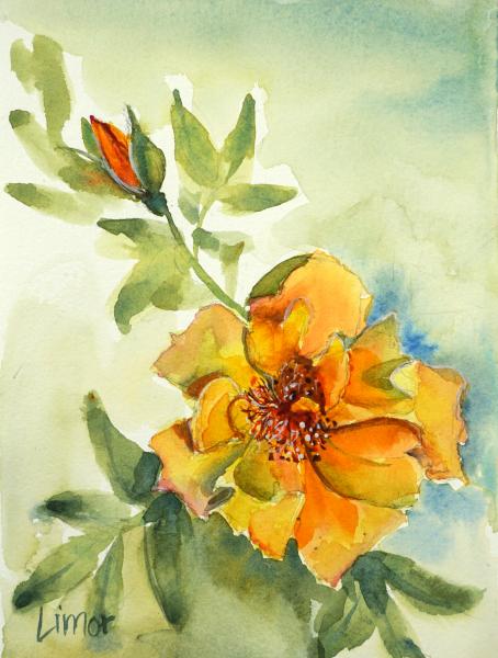 Yellow Rose
