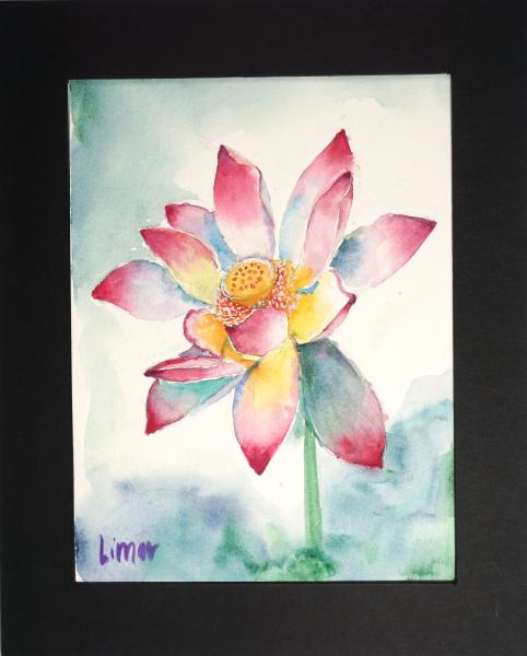 Lotus Flower picture