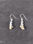 Petoskey nugget earrings