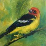 Western Tanager small bird oil painting