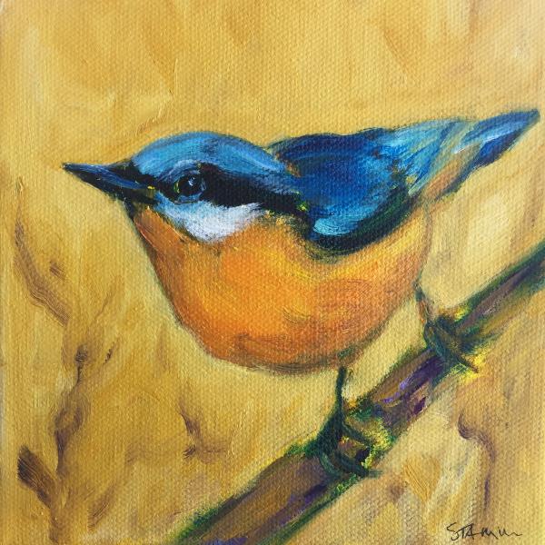 Nuthatch smalll bird oil painting