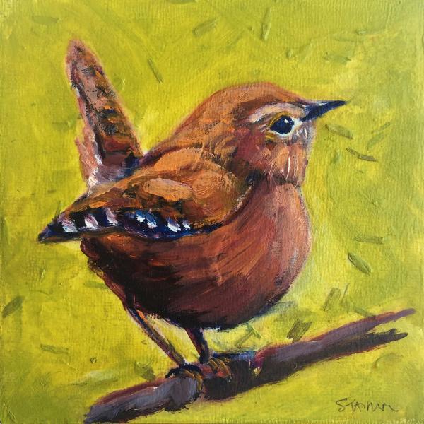 Wren small bird oil painting