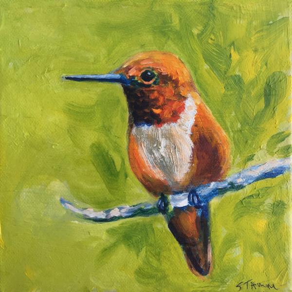 Roufous Hummingbird small bird painting picture