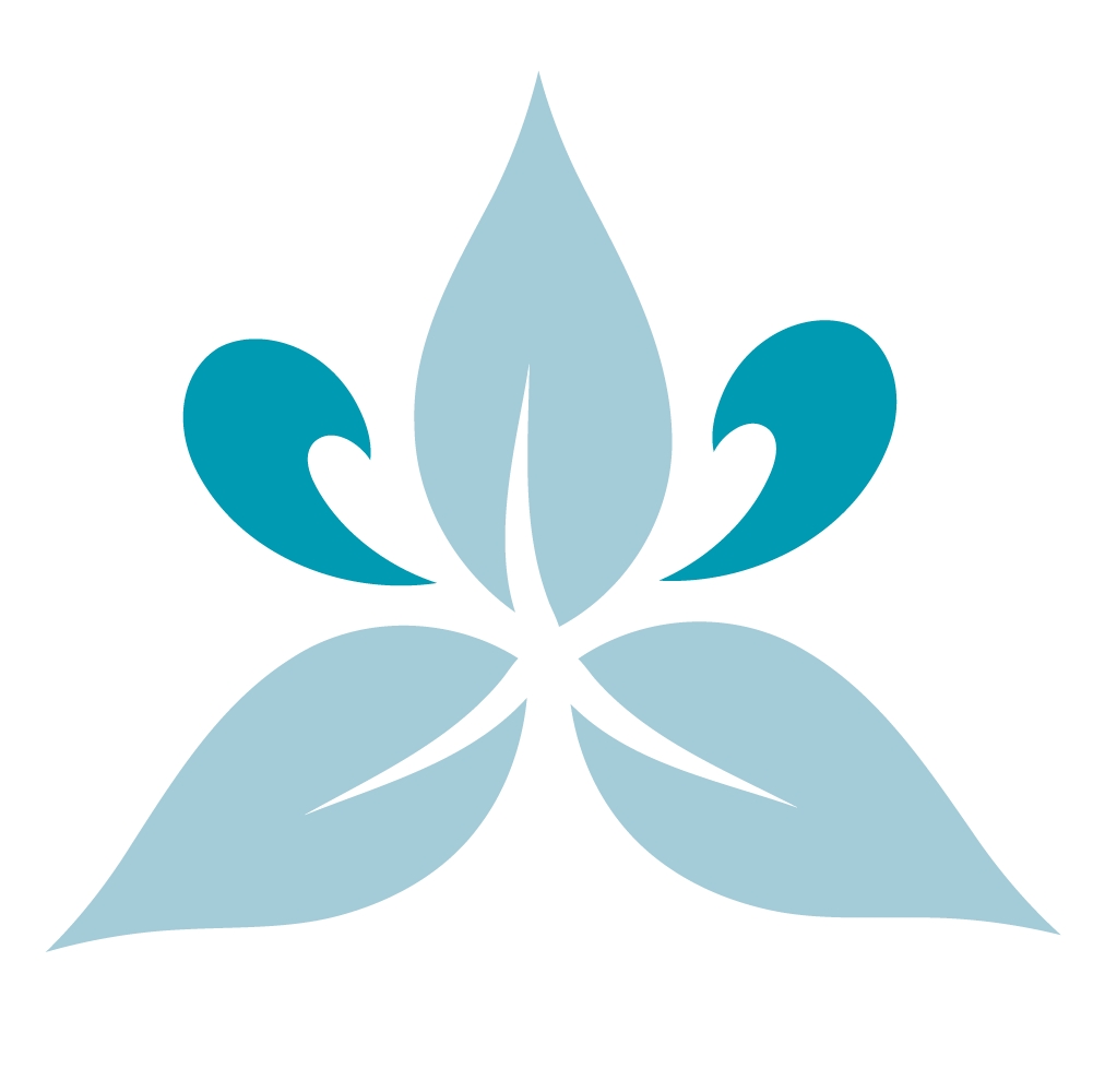  User Profile