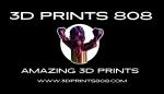 3D Prints 808