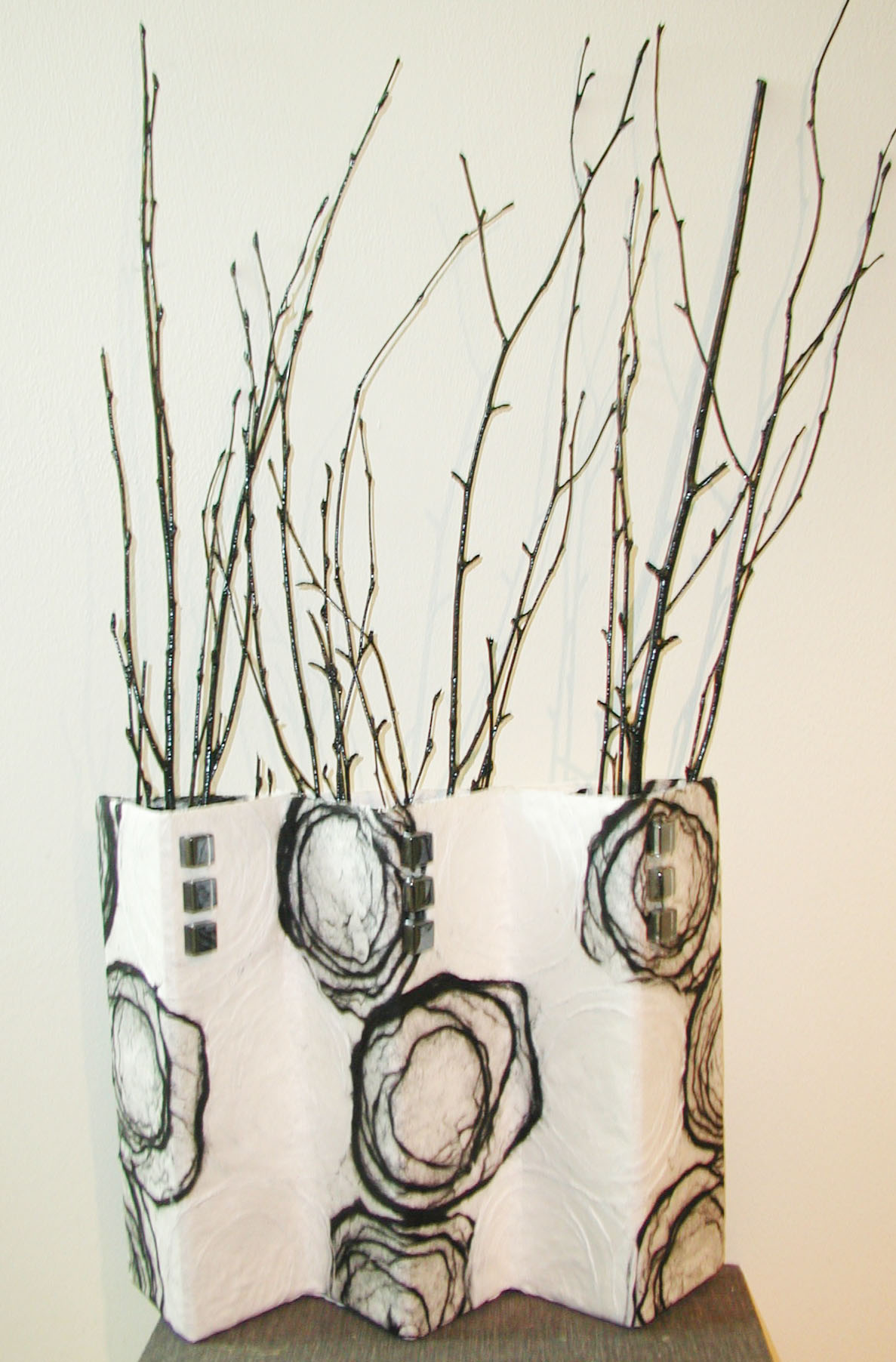 Triple Wall Vase picture