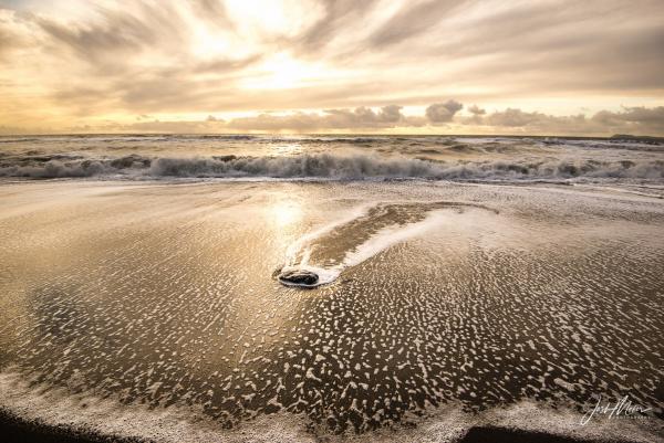 "Golden Shore" (Point Reyes National Seashore) Fine Art Archival Print picture