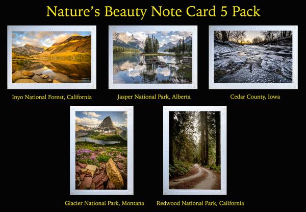Nature's Beauty 5 Pack Artisan Note Cards picture