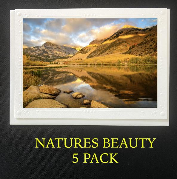 Nature's Beauty 5 Pack Artisan Note Cards picture