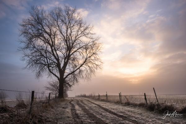 "Sacred Ground" (Cedar County, Iowa) Fine Art Archival Print picture