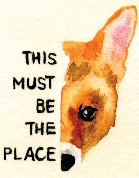 This Must Be The Place