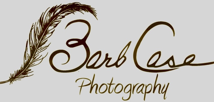 Barb Case Photography