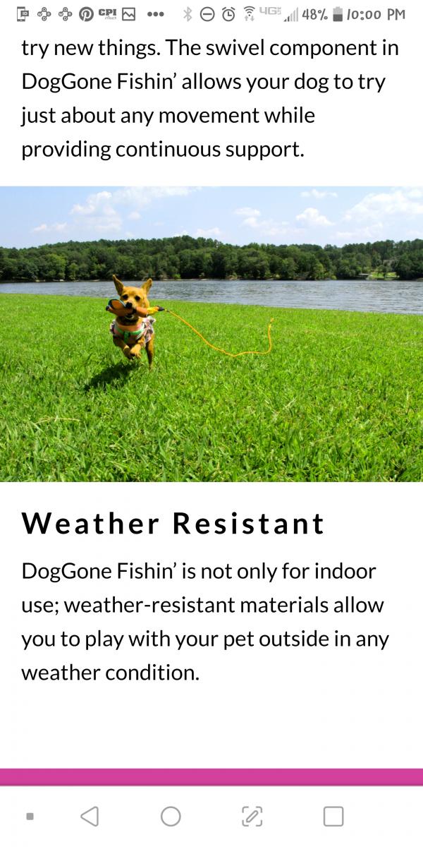 Pet  Fishin' Rod & Toy picture